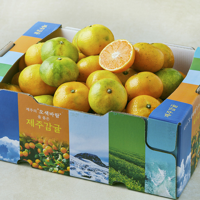 오색바람 못난이 하우스감귤, 1개, 5kg(랜덤과)