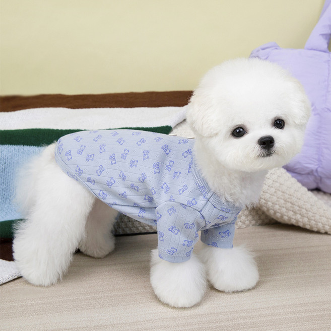파스텔펫 반려동물 베어 버튼 티셔츠, 블루, 1개