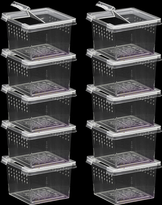 레몽크리프 파충류 미니 케이지 사육장 적재함 6.5 x 6.5 x 4.5 cm, 투명, 10개