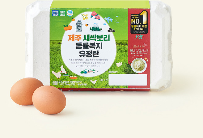 조인 동물복지 인증 제주 새싹보리 갈색 유정란 780g, 1개, 15구