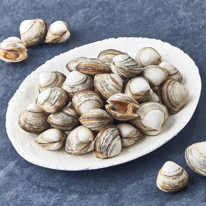 숨비해물 국내산 감칠맛 가득한 동죽조개 (냉장), 1개, 800g