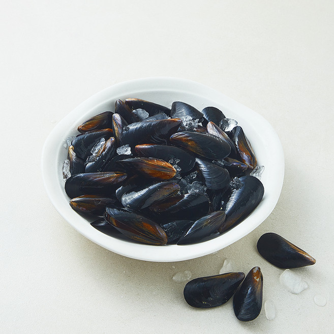 아라보감 마산 생물 홍합 (냉장), 1개, 2kg