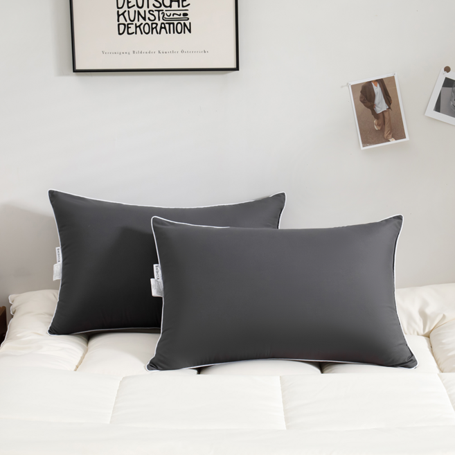 소하임 하이퍼가드 항균 통세탁 사계절 베개, 2개, 챠콜그레이