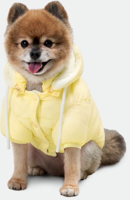 네오핏 강아지 패딩 겨울옷 양면 착용 소프트 구름 모자 넥워머, 레몬옐로우, 1개