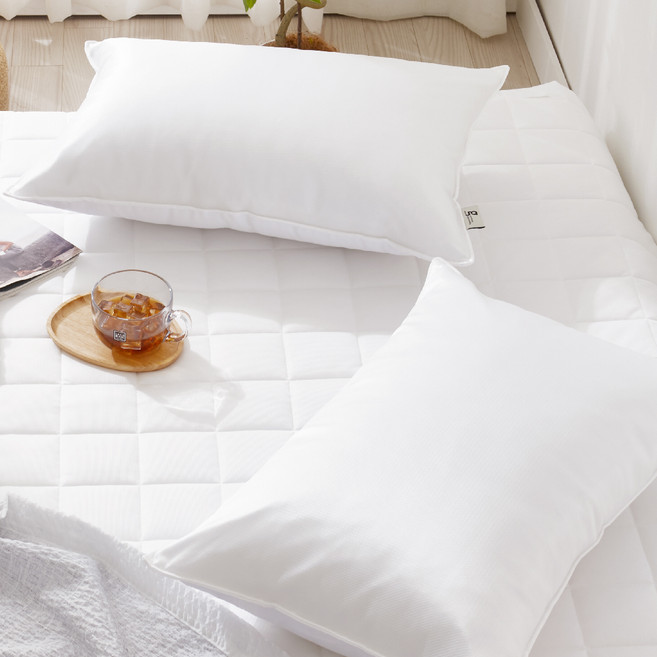 지베딩 모던 휴비스 듀라론 항균 냉감 베개커버 솜포함, 화이트, 2개