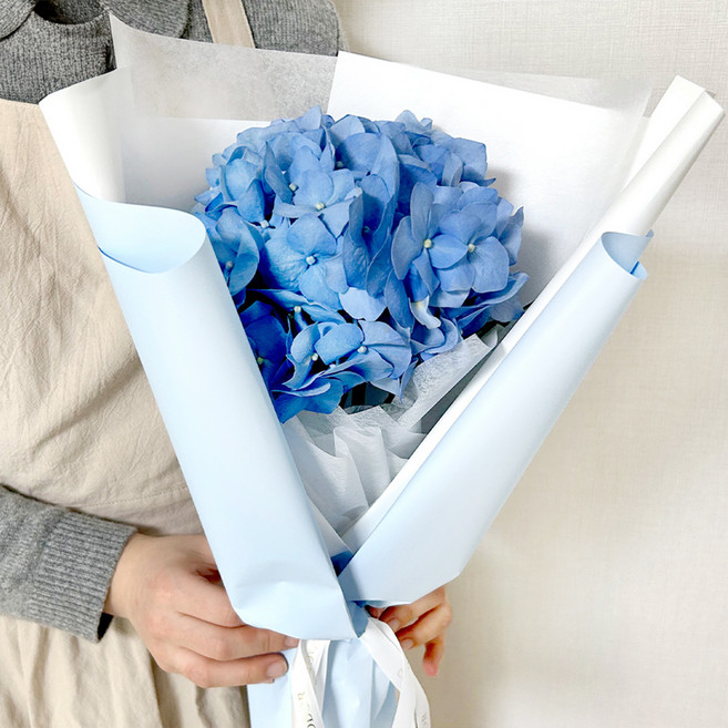 코코도르팜 생화 수국 꽃다발, 라벤더블루