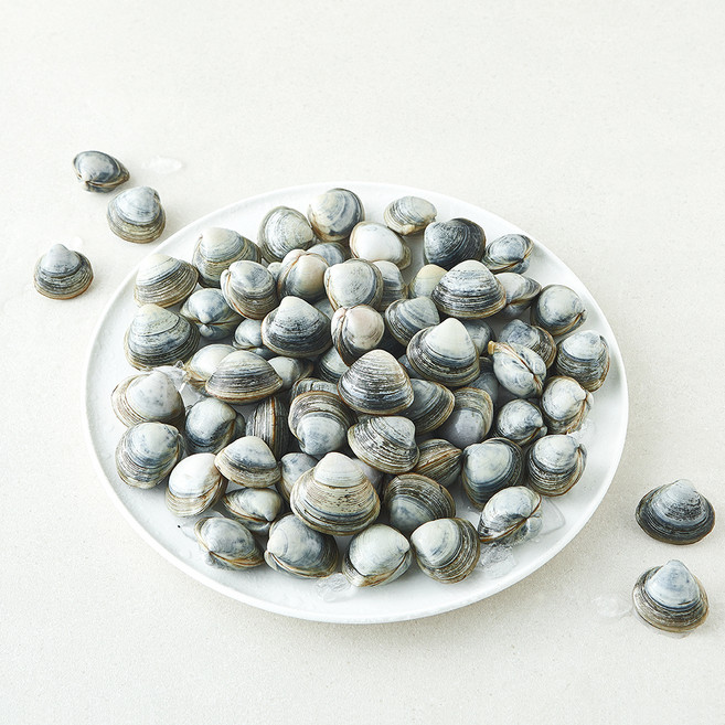 바다림 서해안 생물 동죽조개 (냉장), 1개, 1kg
