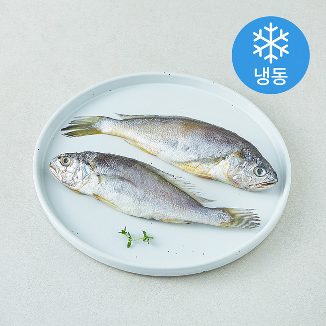 다미원 영광 법성포 참굴비 2미 (냉동), 1개, 160g