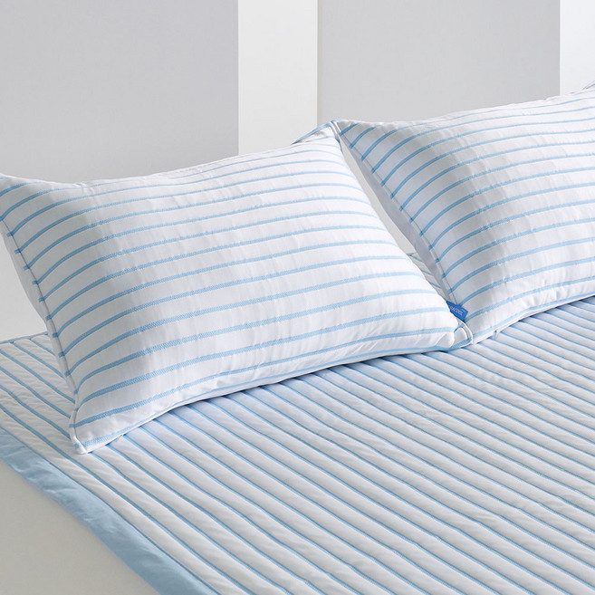 데시뉴 듀라쿨맥스 냉감 지퍼형 베개커버