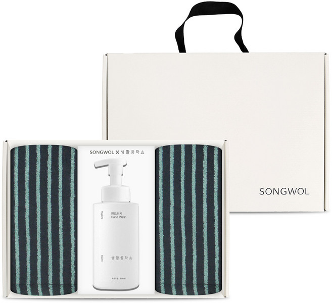 송월타올 생활공작소 스트라이프 솔리드 호텔수건 220g x 2p 30수 코마사 + 핸드워시 500ml 선물세트, 블랙, 블랙, 1세트