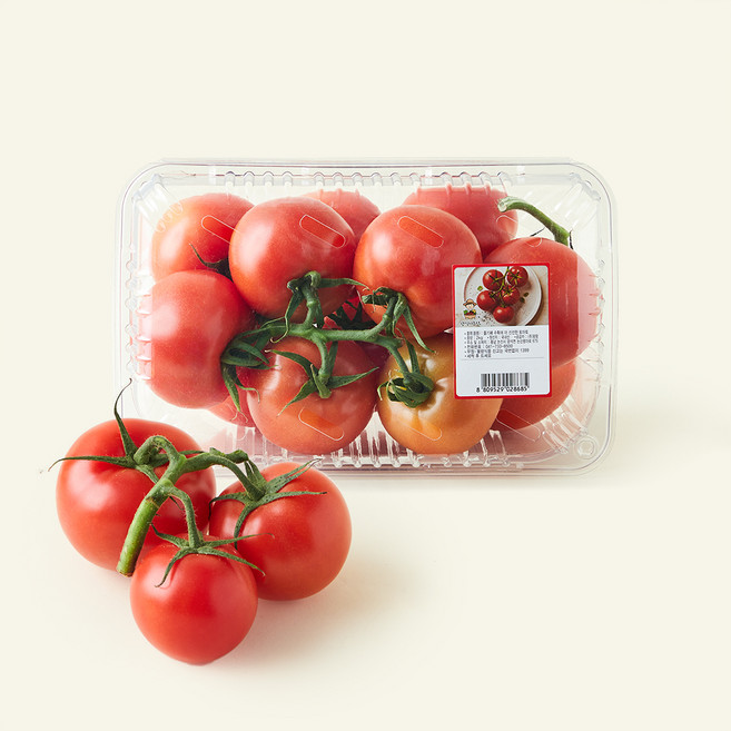 광식이농장 줄기째 수확해 더 신선한 토마토, 1개, 2kg