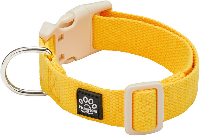 멍템 NEW 팔레트 목줄, 비비드 옐로, 1개