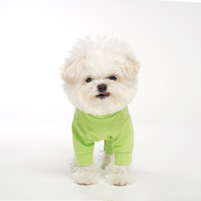 엔젤몬스터 강아지 싱글 하이넥 커버롤 OR009, 813 Green, 1개