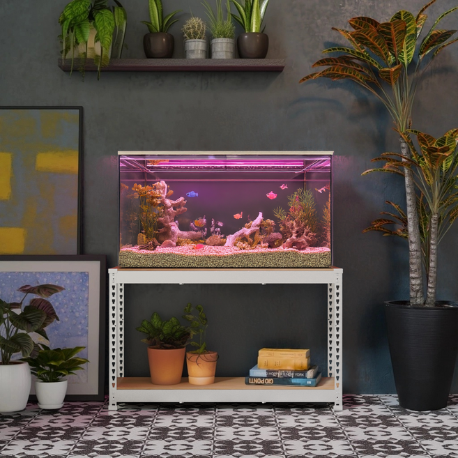 스피드랙 축양장 철제 선반, 화이트, 2단