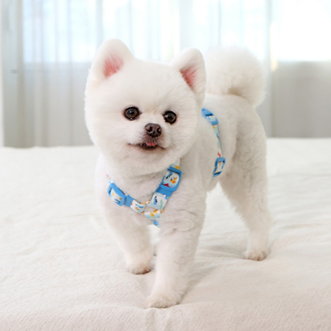 이츠독 강아지 디즈니 컴포트 H형 하네스, 도널드, 1개