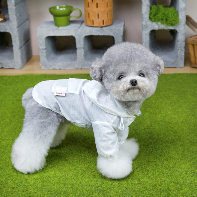 파스텔펫 반려동물 후디 바람막이 우비, 화이트, 1개