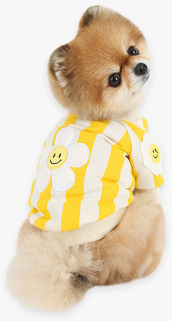 이츠독 반려동물 스마일 데이지 크롭 점퍼, 옐로우, 1개
