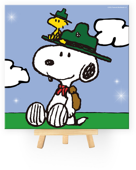 아이러브페인팅 피너츠 DIY CUBIC PAINTING 2020cm, 캠프 스누피, 1개