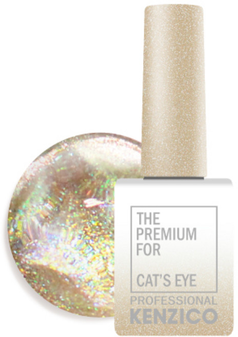 켄지코 캣츠아이 젤네일, CE404, 10g, 1개