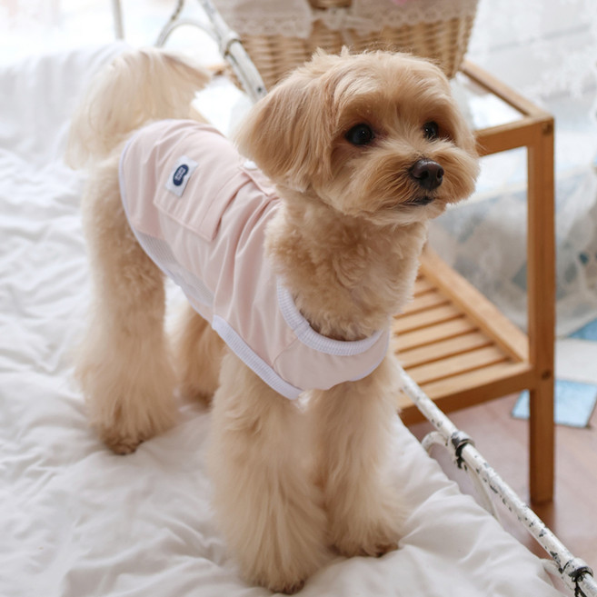 펫츠랜드 반려동물 아이스 포켓 쿨티, 피치, 1개