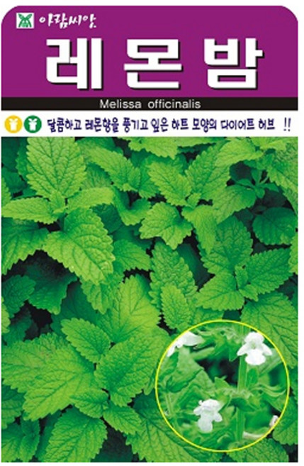 아람종묘 허브 레몬밤 씨앗 300p, 1개