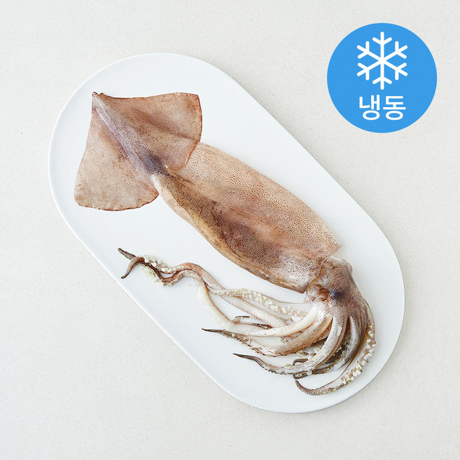 오바다 원양산 통오징어 (냉동), 1개, 240g(대)