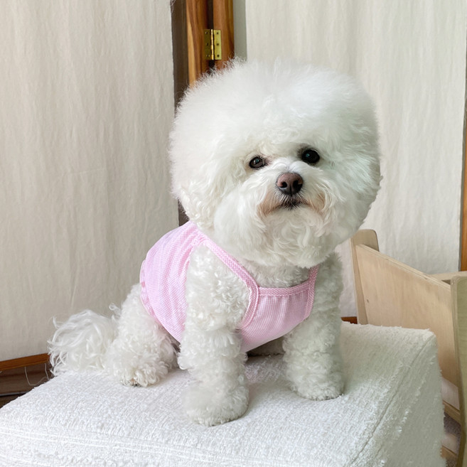 바이담수미 강아지 잔체크 벌룬나시, 핑크, 1개