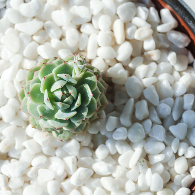 수아쿠아 네이처굿즈 백자갈 10~15mm, 1개, 2kg