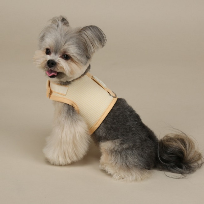 리토가토 강아지 멜로우 하네스, 옐로우, 1개