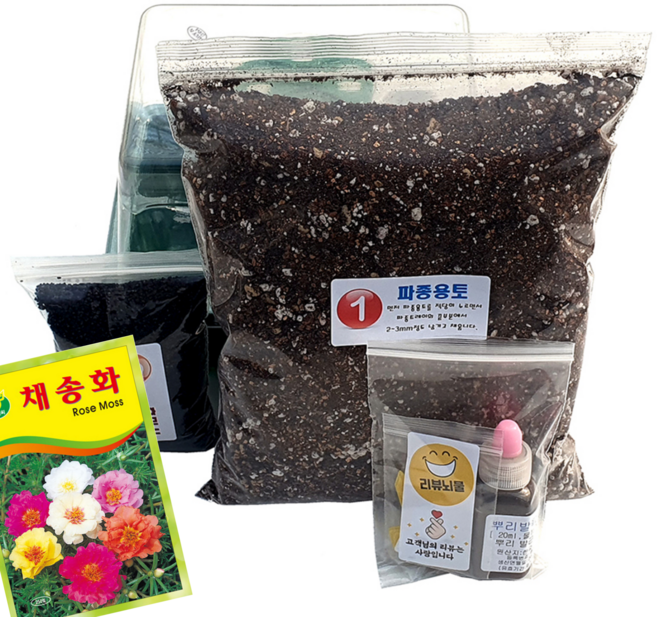 하늘e정원 누구나 쉽게 책상 위의 텃밭 과학 실험 채송화 식물 기르기 키트 세트 250p