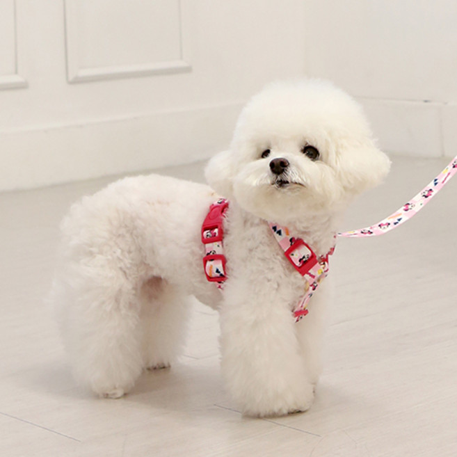 이츠독 강아지 디즈니 컴포트 H형 하네스, 미니, 1개