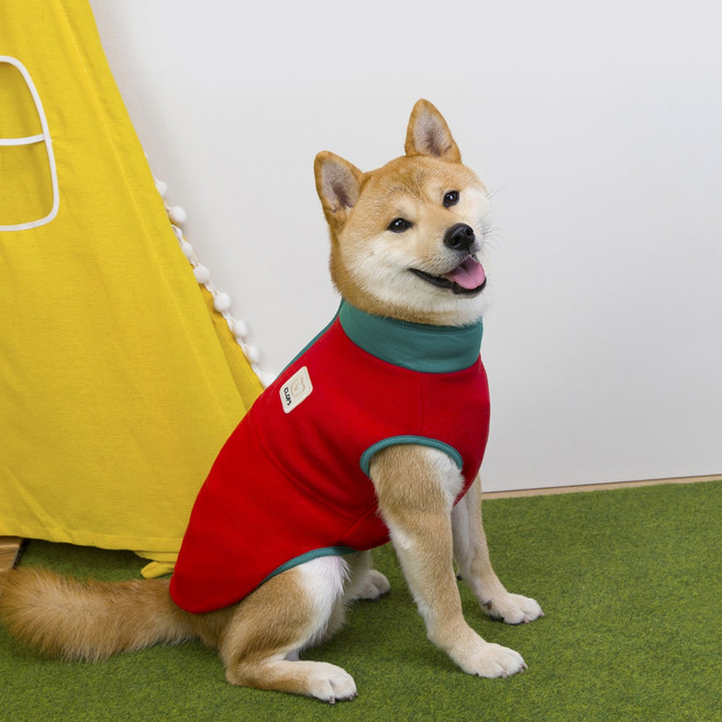 Coco studio 寵物秋冬大型犬衣服 聚酯纖維刷毛 Color Pop大型犬拉鍊T恤, 紅色, 1個