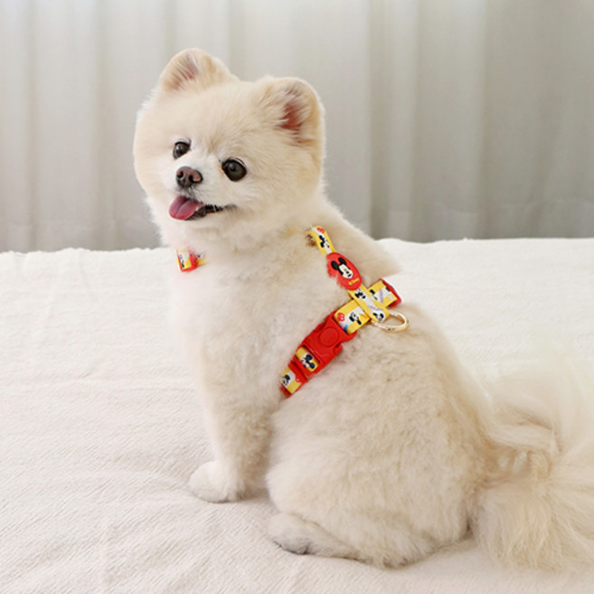 이츠독 강아지 디즈니 컴포트 H형 하네스, 미키, 1개