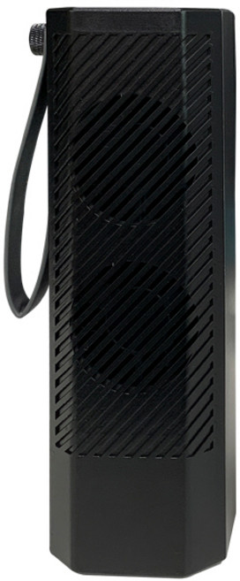 더존 휴대용 살균 공기청정기 3㎡, TZ-A200, 블랙