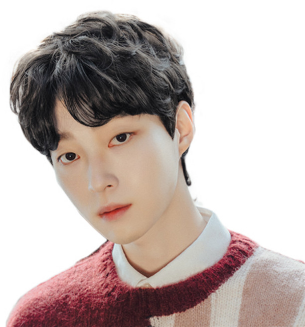 남성용 울프컷 통가발 M, 다크블랙, 1개