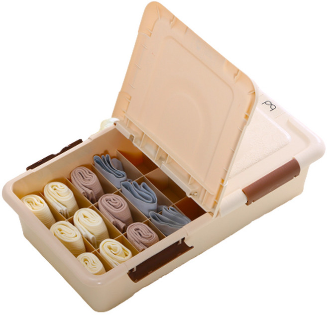 마이닝 뚜껑있는 플라스틱 16칸 속옷정리함, 1개, 베이지