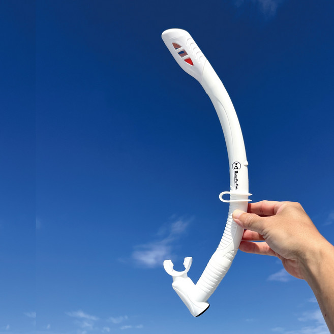 ButterFly Fish 蝴蝶魚 乾式浮潛/濕式自由潛水 兩用呼吸管 成人兒童可用 SN2501, 白色