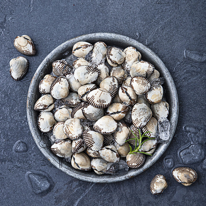 바다자리 생물 새꼬막 (냉장), 0.8kg, 1개