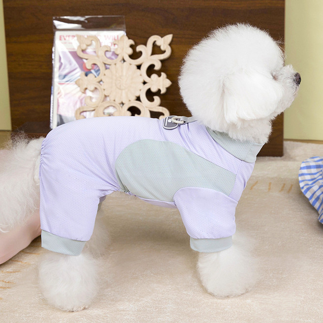 파스텔펫 반려동물 파스텔 배색 메쉬 올인원, 퍼플, 1개