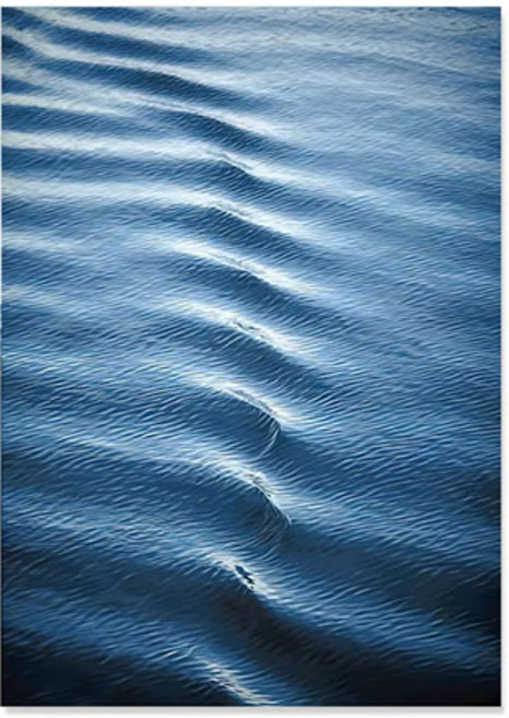 파라다이소 PDS홈데코 깊은 바다의 숨결 콜렉션 인테리어 캔버스 포스터 D