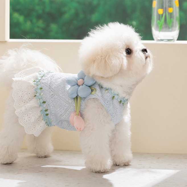 아티펫 반려동물 빅튤립 포레스트 드레스, 블루, 1개