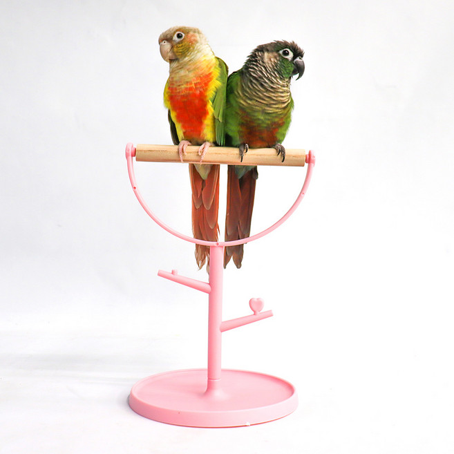 하트 횃대, 핑크, 1개