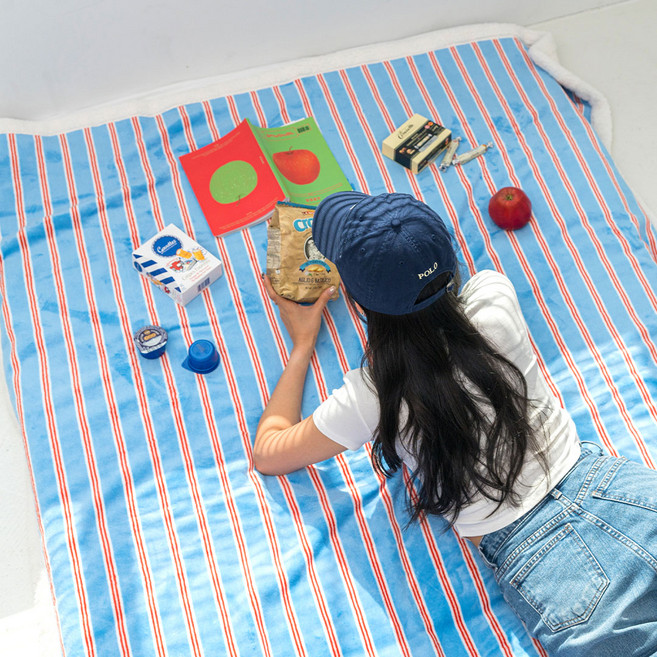 믹스앤매치 스트라이프 극세사 담요