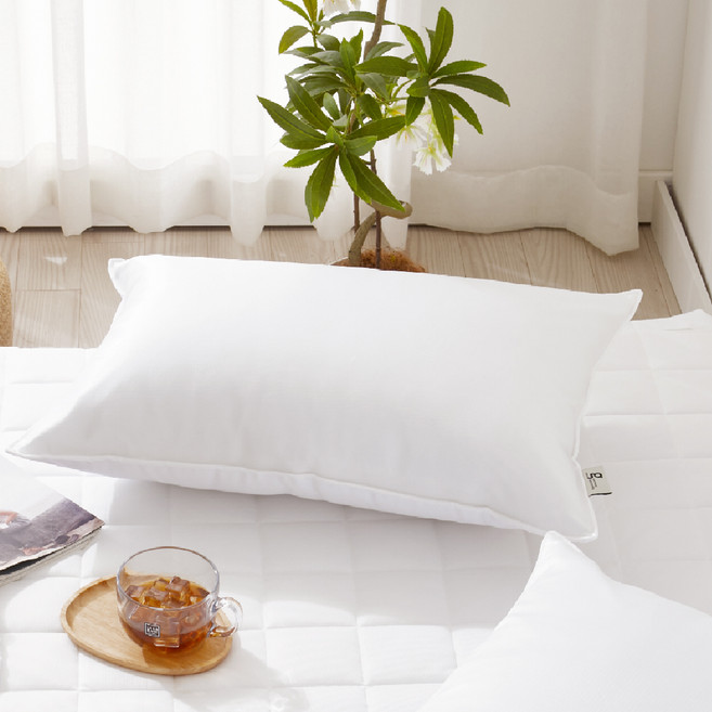 지베딩 모던 휴비스 듀라론 향균 냉감 베개커버 솜포함, 화이트, 1개