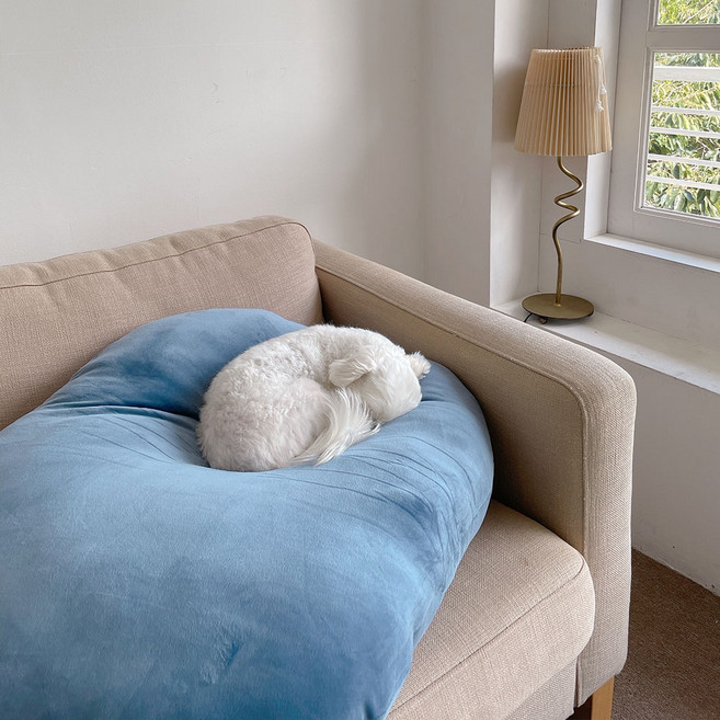 앤더라인 대형 쫀득 말랑 츄이 소파 쿠션, 네이비