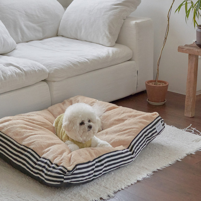 레드퍼피 반려동물 세루아 대형쿠션, 1개