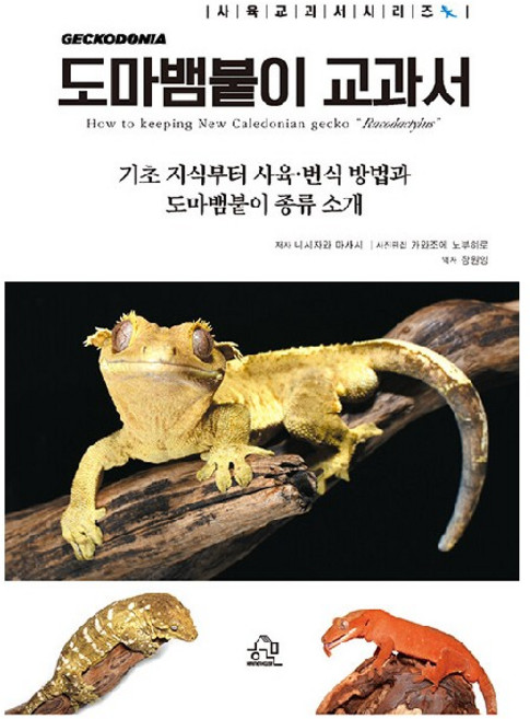 도마뱀붙이 교과서, 헤르몬하우스, 니시자와 마사시