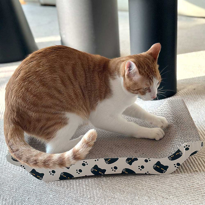 네이처펫 고양이 소파형 보드 스크래처, 혼합색상, 1개