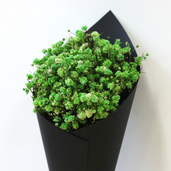 로맨틱노멤버 프리저브드 드라이플라워 미니 안개꽃다발 블랙, 안개꽃 라이트그린