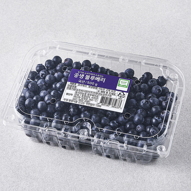 GAP 인증 공생 블루베리, 500g, 1개
